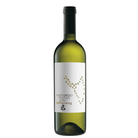 Trentino Pinot Grigio Doc 2018