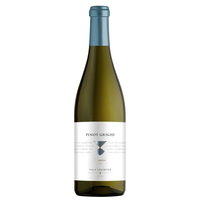 Trentino Pinot Grigio Doc 2019