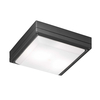 Edit Leros Square Outdoor Flush Ceiling Light - Anthracite
