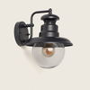 Edit Lurnea Outdoor Wall Light - Black
