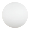Edit Model Large Glass Flush Light - White