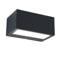 Lutec Gemini Small Cool White LED Outdoor Up & Down Wall Light - Dark Grey