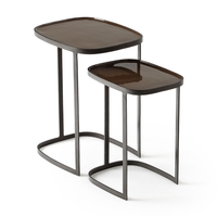 Picabea Set of 2 Nesting Side Tables in Metal