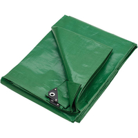 Clarke Clarke HDGR10/12 Heavy Duty Green Polyethylene Tarpaulin (10x12ft / 3x3.6m)