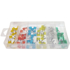 New 100 Piece Mini Automotive Fuse Set